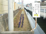 20110306_013.jpg