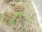20110306_016.jpg