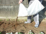 20110319_017.jpg