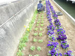 20110416_015.jpg