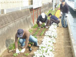 20110416_017.jpg