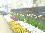 20110502_004.jpg