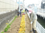 20110416_009.jpg