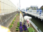 20110416_012.jpg