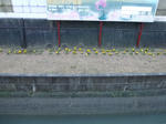 20120317_003.jpg