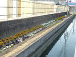 20120505_002.jpg