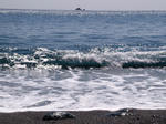 061019-01.jpg