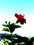 071012-02.jpg