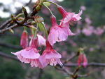 080120-02.jpg