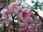 080120-03.jpg