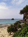 080316-01.jpg