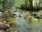 081122-02.jpg