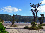 081220-01.jpg
