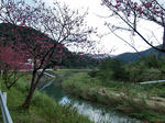 090201-01.jpg