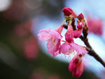 090201-02.jpg