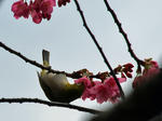 090201-03.jpg