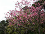 090208-01.jpg