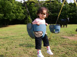 090418-04.jpg