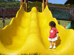 090509-03.jpg