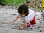 090605-03.jpg