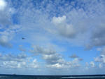 090922-03.jpg