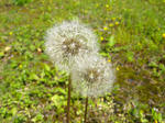 100406-04.jpg