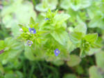 100406-05.jpg
