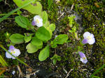 100406-06.jpg