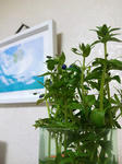 100416-01.jpg