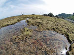 100418-02.jpg