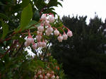 100504-03.jpg