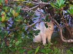 100512-02.jpg