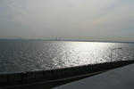 IMG_3316.jpg