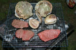 IMG_3436.jpg