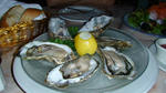 DSC01349.jpg