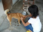 DSC01326.jpg