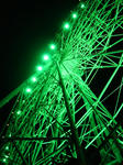 DSC01414.jpg