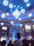 P1000094.jpg