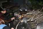 IMG_2577.jpg