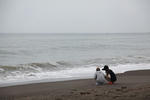 IMG_4450.jpg