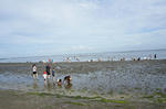 DSC00276.jpg