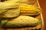 DSC00514.jpg