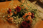 DSC00755.jpg