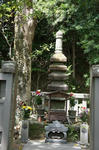 DSC00988.jpg