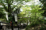 DSC00989.jpg