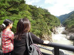 DSCN0237.jpg