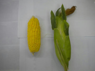 DSCN1811.jpg