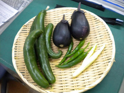 DSCN1782.jpg