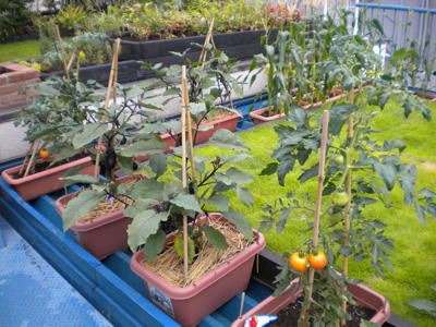 DSCN1784.jpg