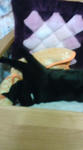 20080222214112.jpg